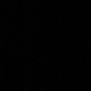 Meet your Posher, Chandler